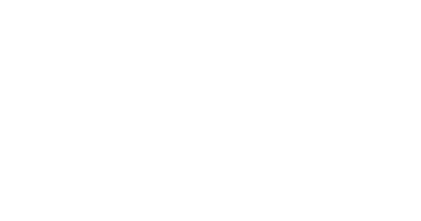 ACCESS GLOBAL