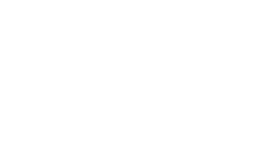 ACCESS JAPAN